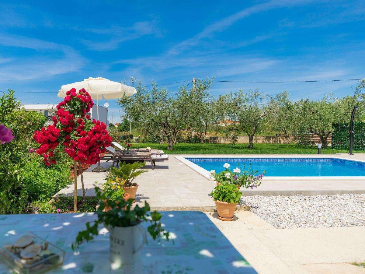 Apartment Chiara By Interhome Novigrad Istria Buitenkant foto