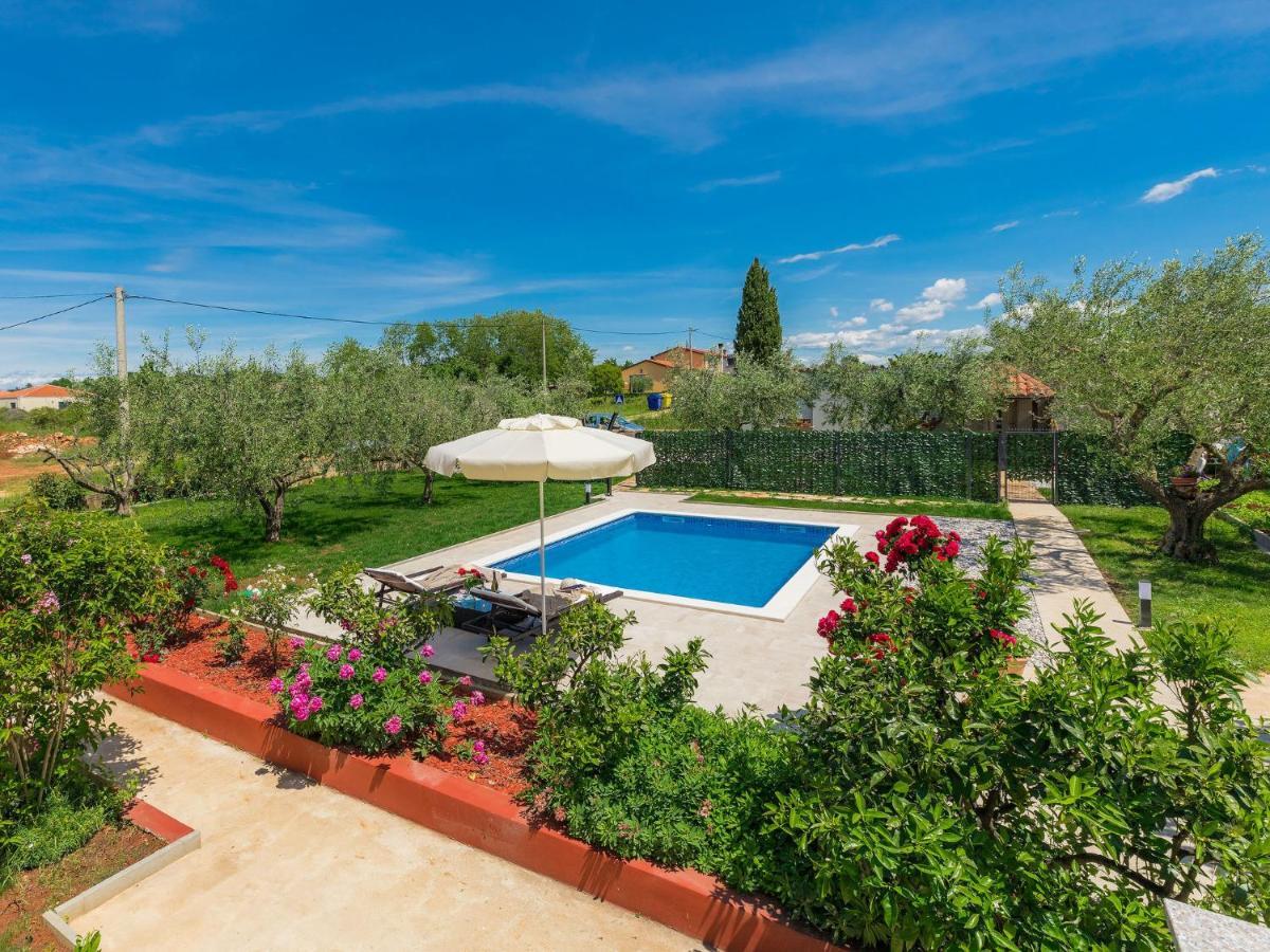 Apartment Chiara By Interhome Novigrad Istria Buitenkant foto