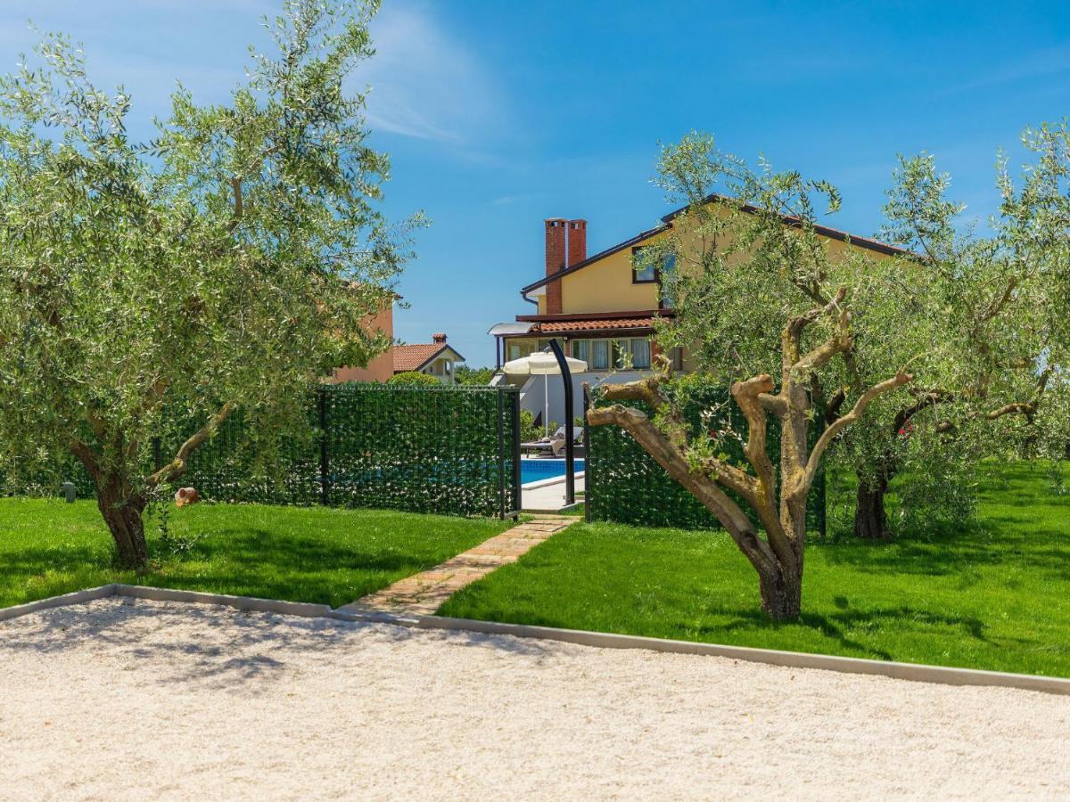 Apartment Chiara By Interhome Novigrad Istria Buitenkant foto
